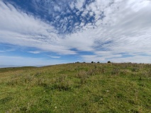 Hambledon Hill enclosure