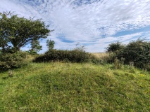Hambledon Hill enclosure