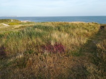 Warren Hill Round Barrow 3