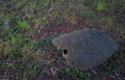 Blandford Forum Stones