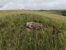 Chilcombe Hill Barrows