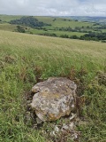 Chilcombe Hill Barrows