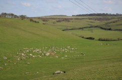 Valley of Stones quarry