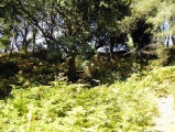 Dudsbury Camp - PID:36064