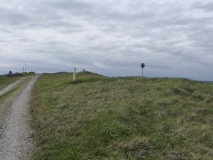 Bindon Hill Barrows