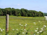 Oakley Down Barrows - PID:108822