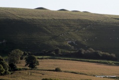 Bincombe Barrows