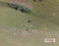 Valley of Stones circle