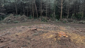 Broomhill Barrows