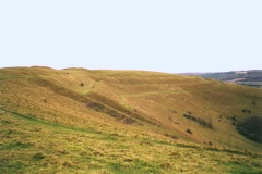 Hambledon Hill hillfort