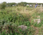 Click for full size image of Hampton Down (PID:24216) Hampton Down