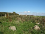 Click for full size image of Hampton Down (PID:66986) Hampton Down