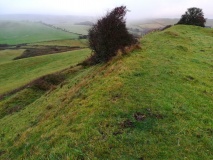 Abbotsbury Castle