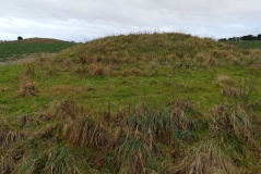 Gussage Down (South)