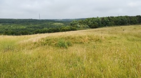 Long Bredy Barrow Cemetery