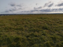 Maiden Castle (Dorset)