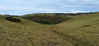 Crow Hill Enclosure