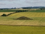 Maiden Castle Barrow Cemetery - PID:271295