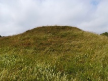 Martin's Down Round Barrows