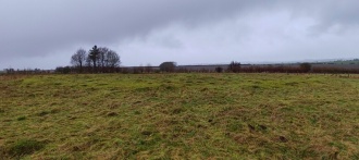 Oakley Down Barrows