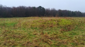 Oakley Down Barrows