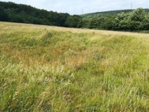 Martin's Down Round Barrows