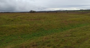 Oakley Down Barrows