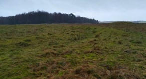 Oakley Down Barrows