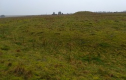 Oakley Down Barrows