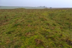 Oakley Down Barrows