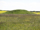 Oakley Down Barrows - PID:108821