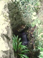 St John's Well (Evershot) - PID:81073