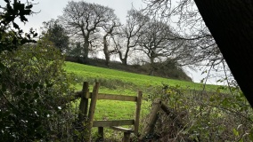 Woodbury Hill (Dorset)
