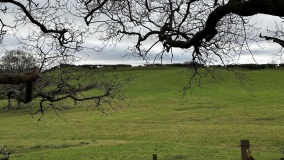Woodbury Hill (Dorset)