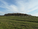 Badbury Rings - PID:213503
