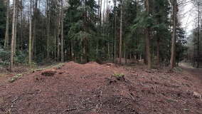 Broomhill Barrows