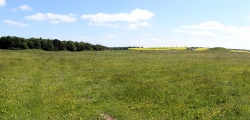 Oakley Down Barrows - PID:108823