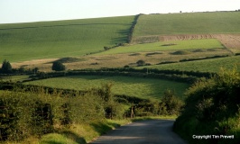 Poor Lot Barrows