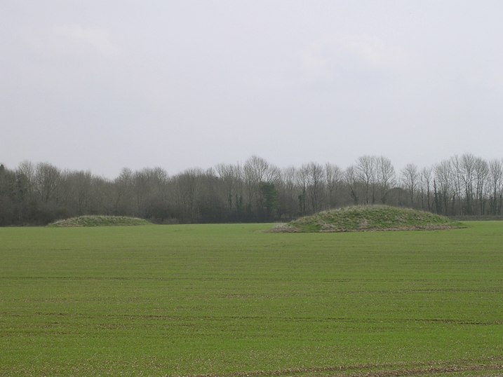 Wyke Down barrows