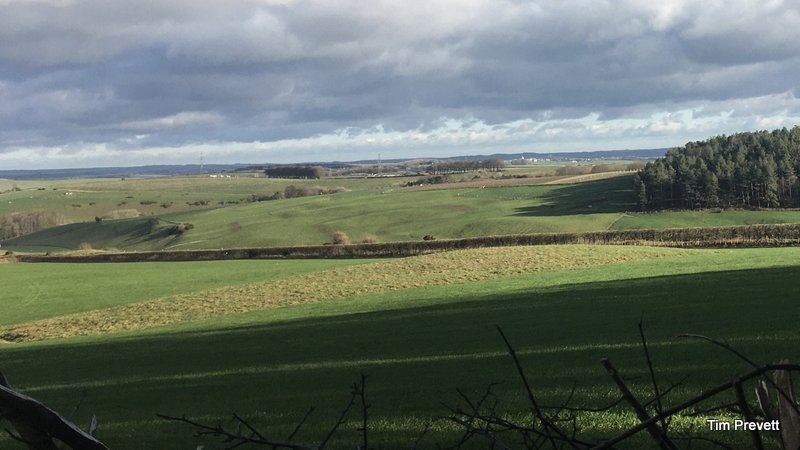 Winterbourne Steepleton 1 Long Barrow : The Megalithic Portal and ...