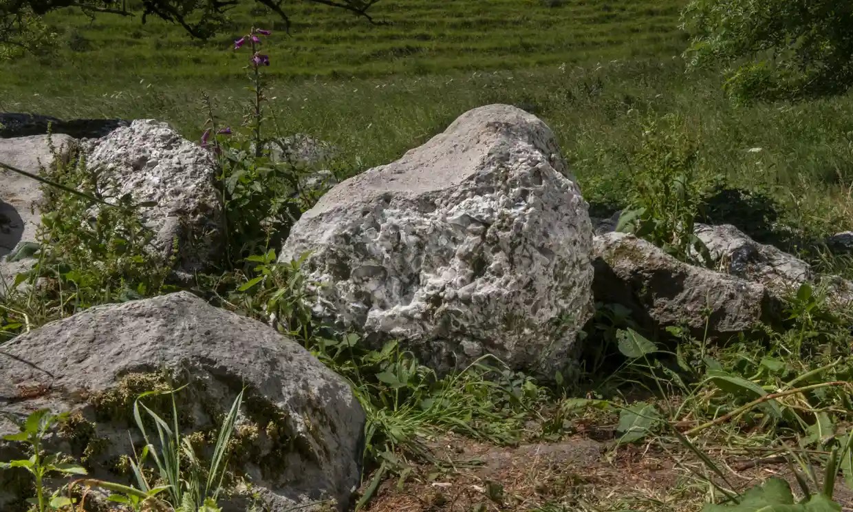 The polishing stone found in the Valley of Stones in Dorset. 
Photograph: JamesD/HistoricEngArchive/SWNS