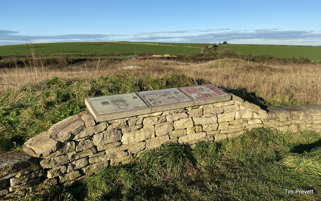 A round barrow (visible back right) adjacent the site of 50 plus Viking executions at the hands of Anglo Saxons in a disused Roman quarry on the east side of the Roman Road from Weymouth to Dorchester - now the Weymouth Relief Road. Considerate parking near the bridge over the A354 to the west of Bincombe Down. Interpretation panels for the barrows and Viking executions a short walk through a gate