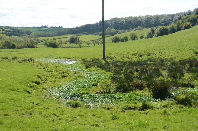 Click for the gallery page to add comments and vote (PID:165016) Holy Well, Greenside