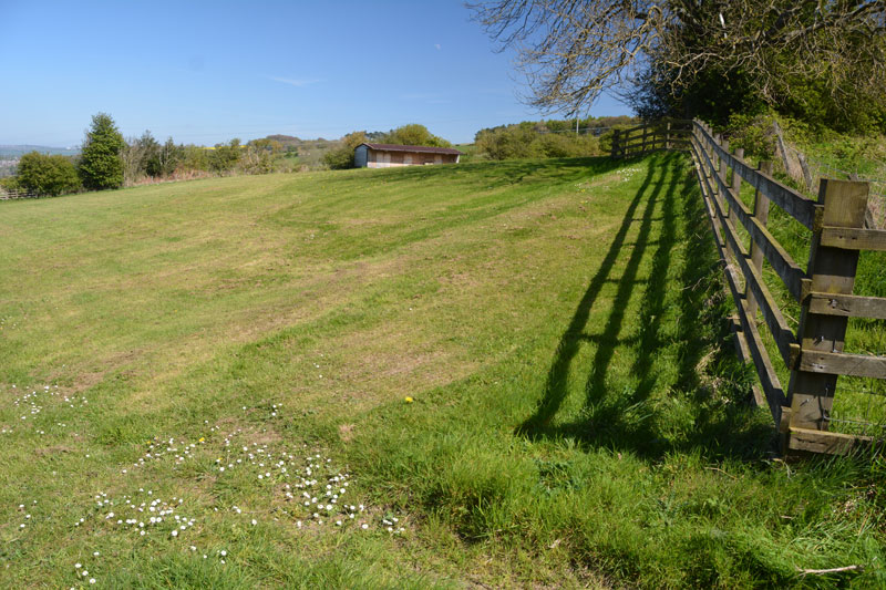 Click for the gallery page to add comments and vote (PID:165374) North View enclosure