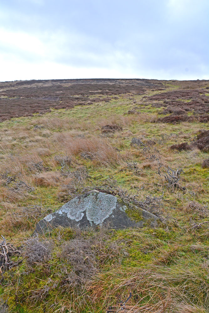 Barningham Moor 114 [ERA-917; SAM 30481; SMR/HER D5621] Rock Art : The ...
