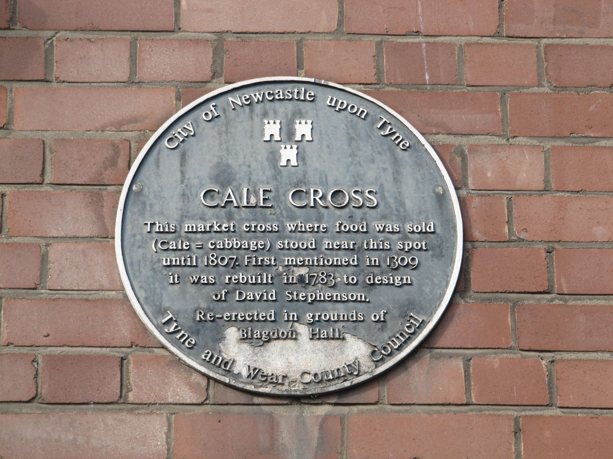 Click for the gallery page to add comments and vote (PID:202229) Cale Cross (Newcastle)