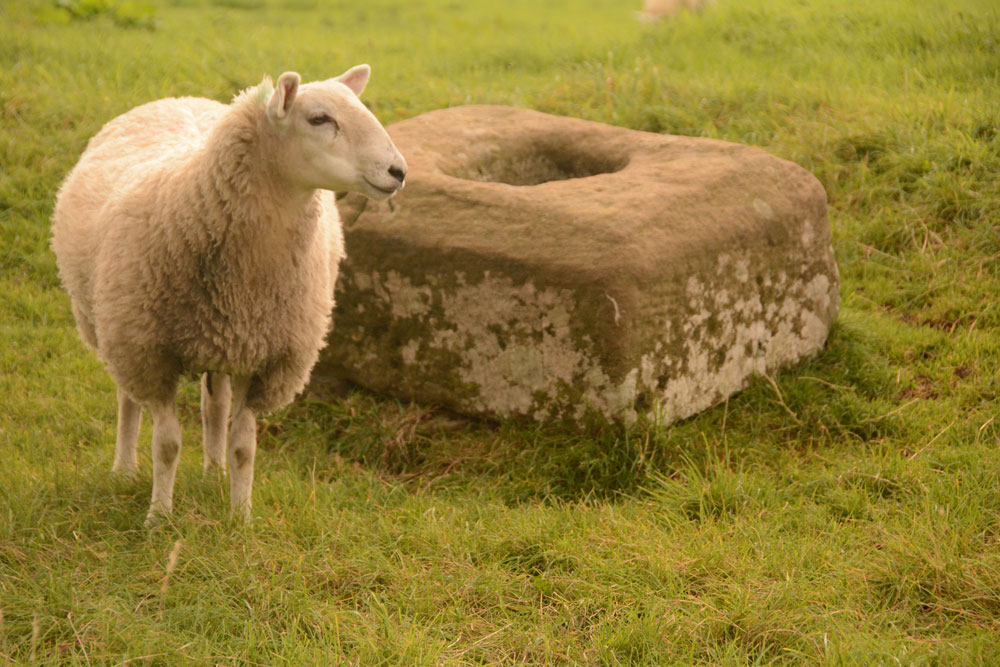Click for the gallery page to add comments and vote (PID:170337) Christening Stone (Cotherstone)