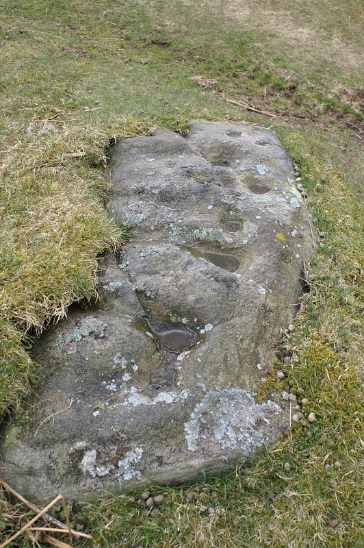 Barningham Moor 96