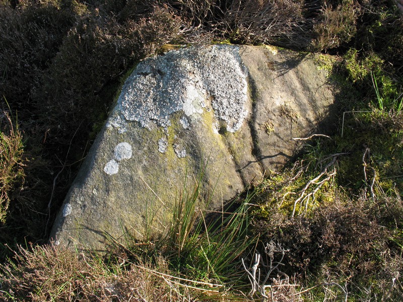 Click for the gallery page to add comments and vote (PID:163183) Barningham Moor 114