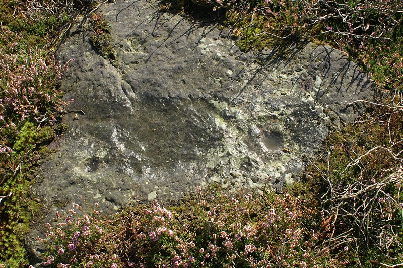 Barningham Moor 115, County Durham | Megalithic Portal